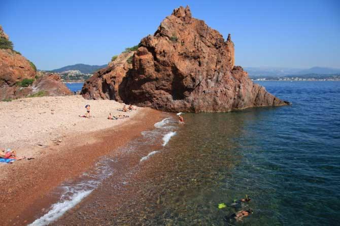 Rez De Jardin Au Calme Et Proche Mer Mandelieu Zewnętrze zdjęcie